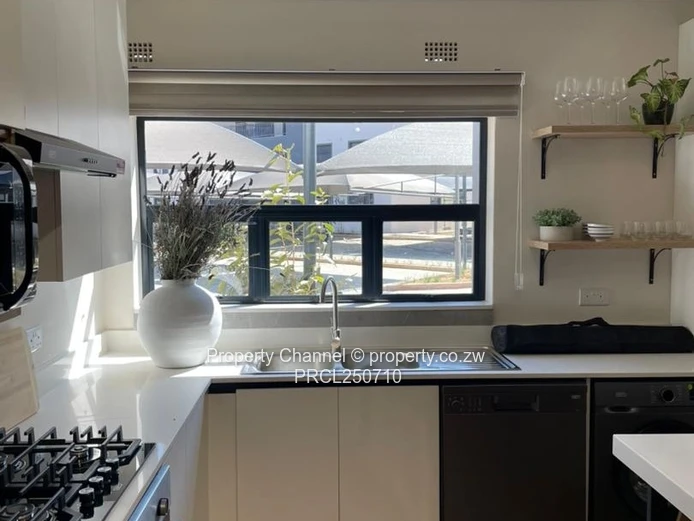 One bedroom apartments for rent