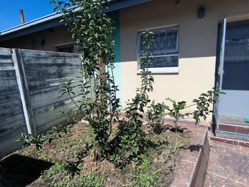 2 Bed Garden Flat in Sunningdale, Harare - with Title Deeds