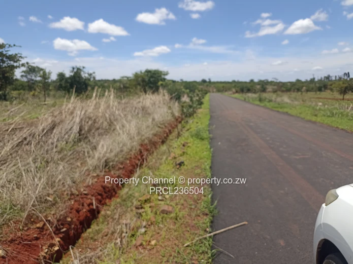 Pomona Serviced Residential Stands in Wild Geese, Buckland Gated Community