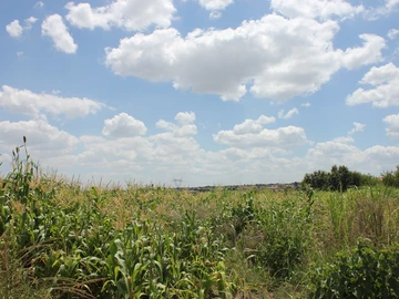 Commercial & Industrial Land