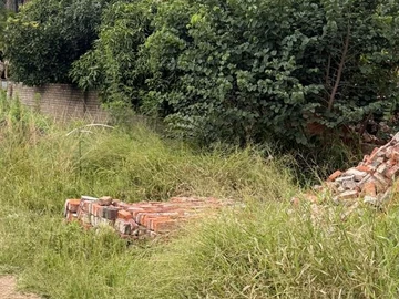 Commercial & Industrial Land