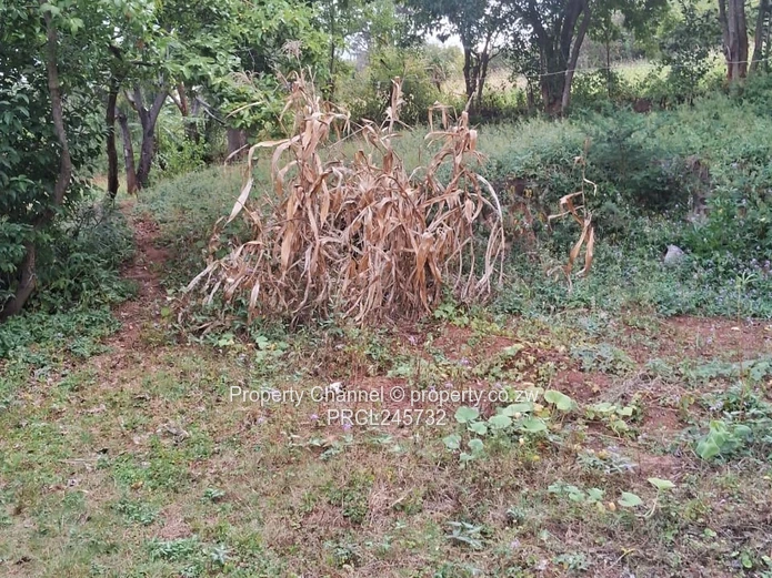 Stand For Sale In Borrowdale Brooke Ridge