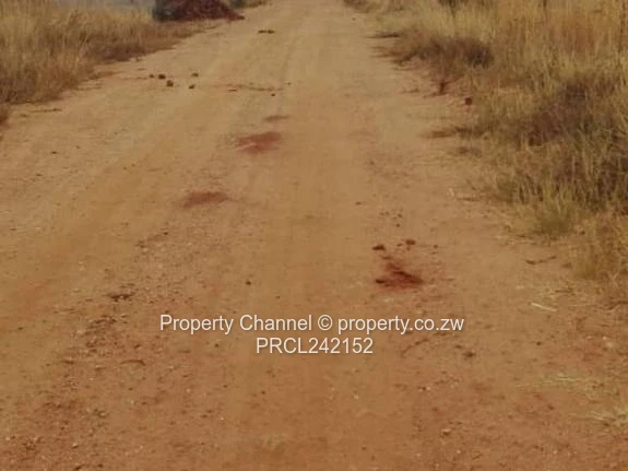 Build your own dream house