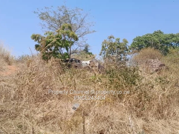 Vacant Stands For Sale In Gletwin