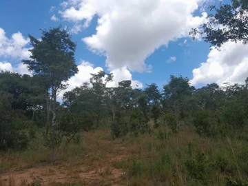 Farm & Agricultural Land