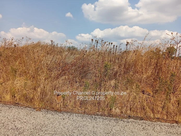 200m² Barrington Tarred Road with Services