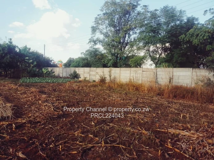 Stand For Sale In Galloway Norton