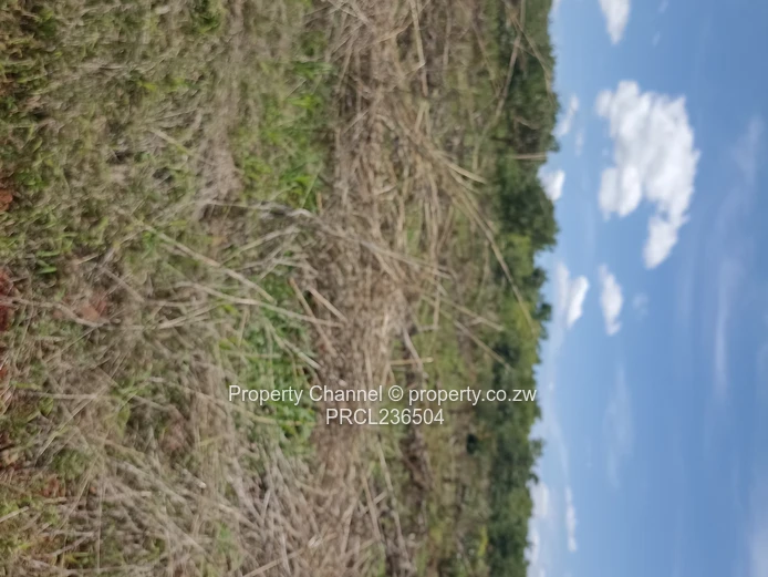 Pomona Serviced Residential & Commercial Stands in Wild Geese, Buckland Gated Community