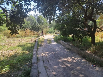 Stands & Residential Land