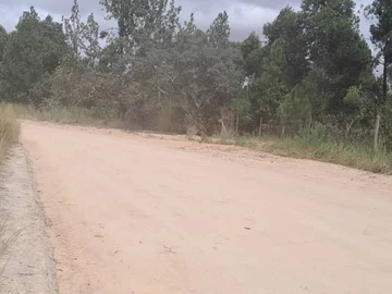 Farm & Agricultural Land