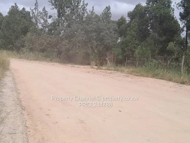 Prime Flat Agro Plot – Ideal for Farming, dwelling & Investment