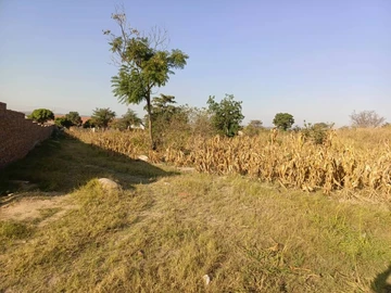 Land