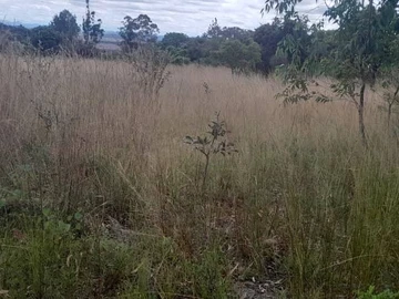 Farm & Agricultural Land