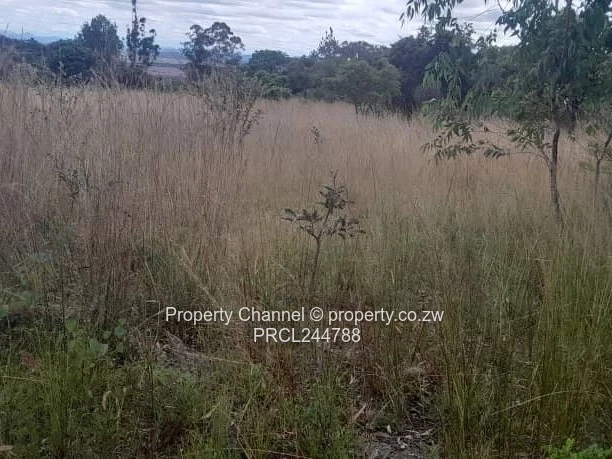 Prime Flat Agro Plot – Ideal for Farming, dwelling & Investment