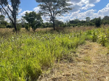 3 Bedroom Flat & Apartment