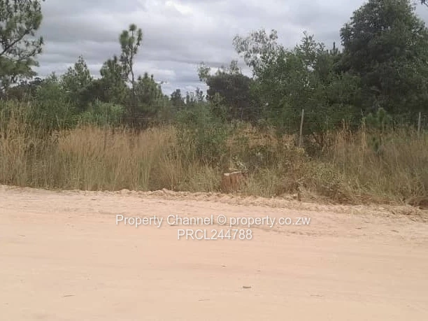 Prime Flat Agro Plot – Ideal for Farming, dwelling & Investment