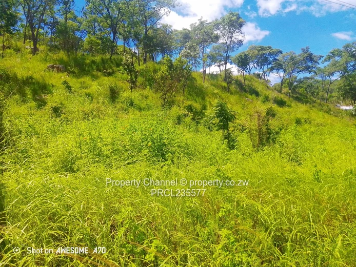 Sloping 4000m² Carrick Creagh — Subdividable, Tarred Road