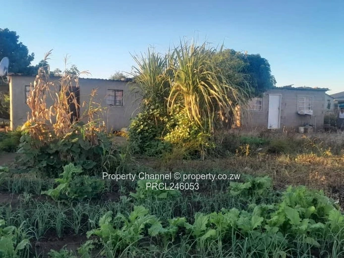 Cozy 1-Bed Cottage in Dzivarasekwa with Garden & Water Tank