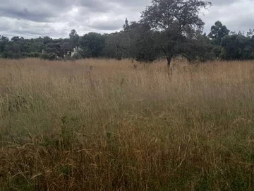 Farm & Agricultural Land