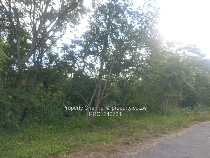 Residential Stand in Glen Lorne meauring 5118 sqm with Title Deeds 