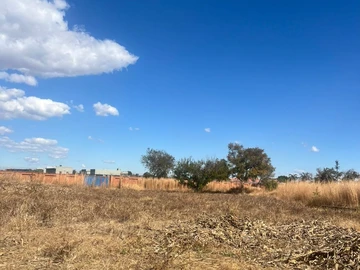 Stands & Residential Land