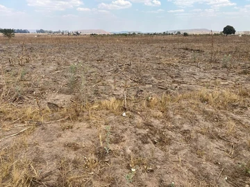 Commercial & Industrial Land