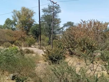 Commercial & Industrial Land