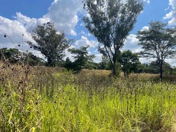 3 Bedroom Flat & Apartment