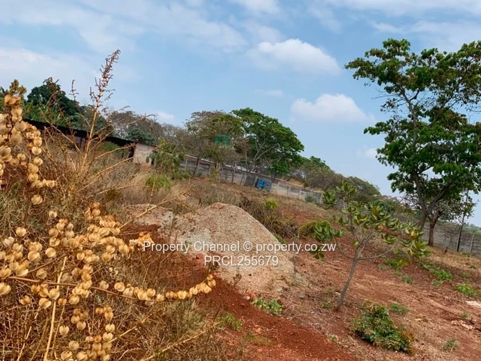 2,100m² Plot on Paved Road with Palm Trees, Hogerty Hill