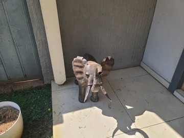 3 Bedroom Flat & Apartment