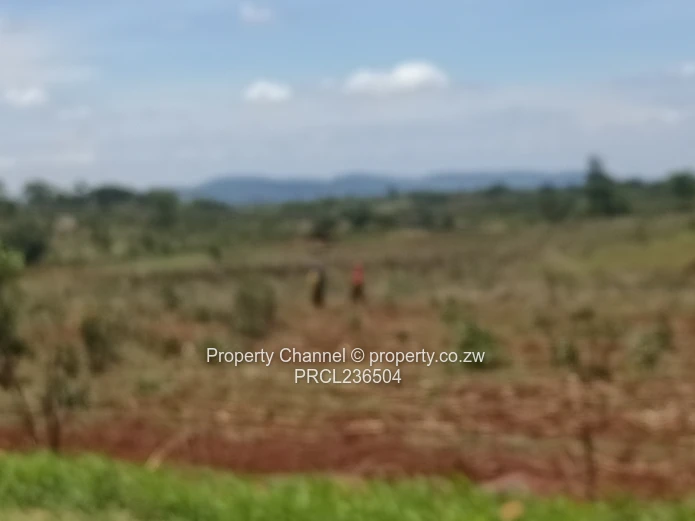 Pomona Serviced Residential Stands in Wild Geese, Buckland Gated Community