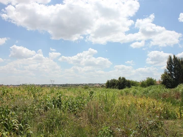 Commercial & Industrial Land