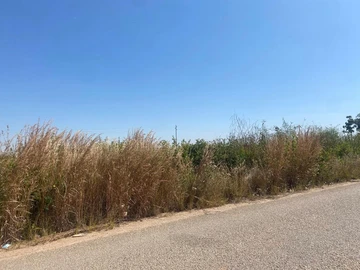 Commercial & Industrial Land