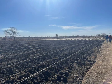 Farm & Agricultural Land