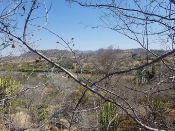 Farm & Agricultural Land