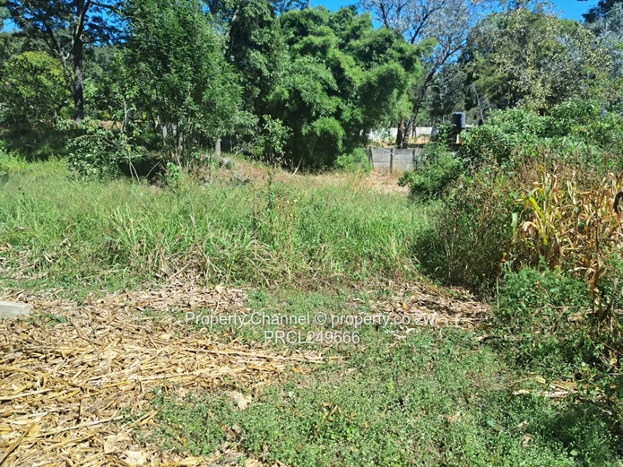 Land with cottage