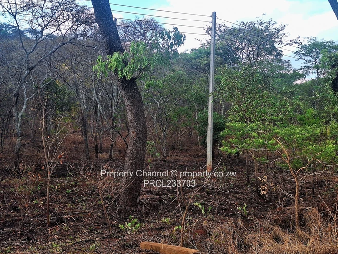 Own a piece of Paradise!