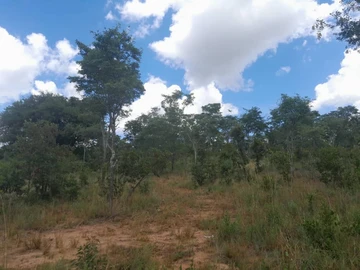 Farm & Agricultural Land