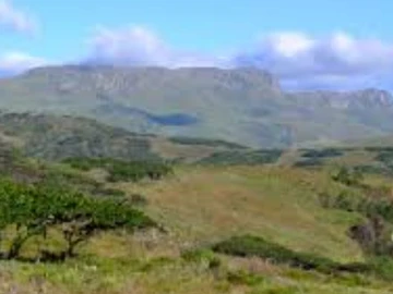 Picturesque Juliasdale Nyanga Plot