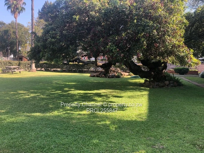 Available Is A 2 Bed Apartment In Avondale