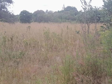 Farm & Agricultural Land