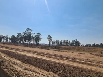 Stands & Residential Land