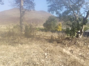 Commercial & Industrial Land