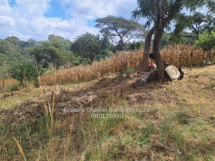 Vast piece of land for sale 
