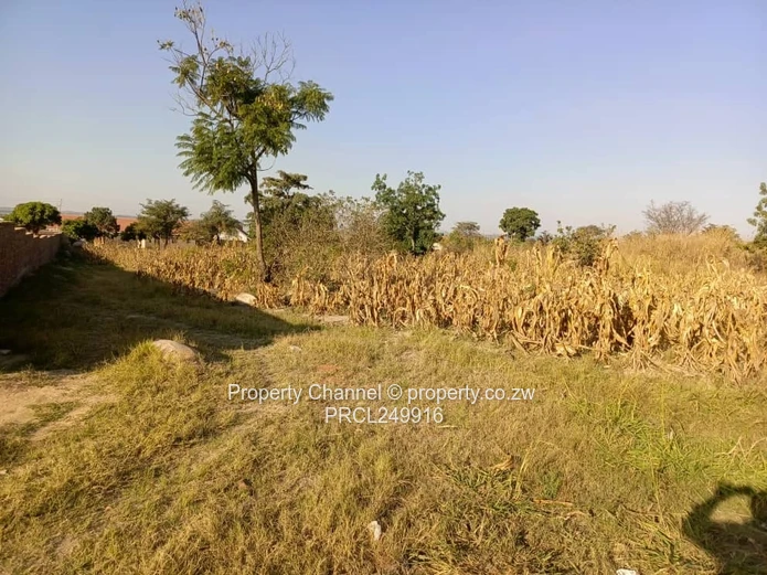 Stand for Sale – Prime Location Near Ocean Primary School