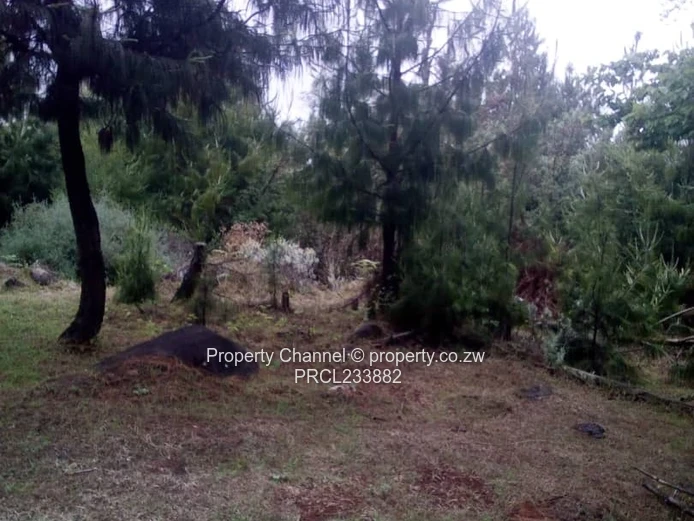 Nyanga Plots For Sale