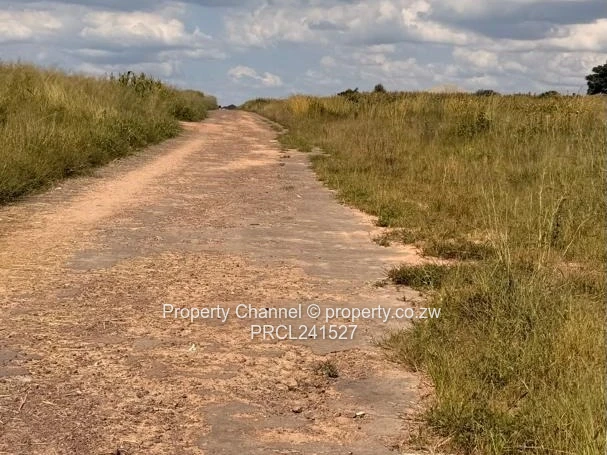 826m² Plot on Quiet Paved Road, Zimre Park East