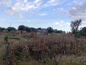 Land
