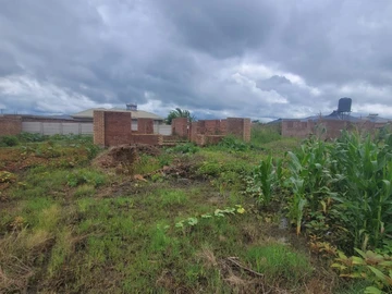 Stands & Residential Land