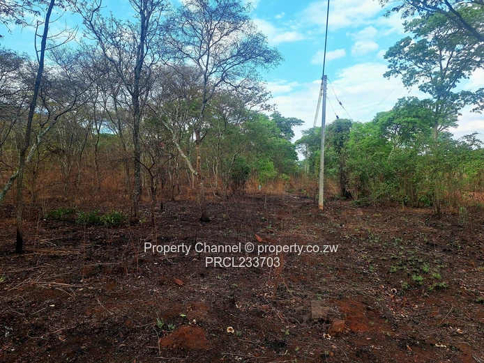 Own a piece of Paradise!